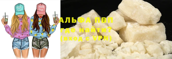 сатива Баксан