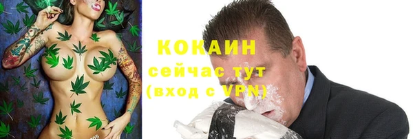 сатива Баксан