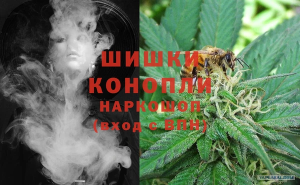 сатива Баксан